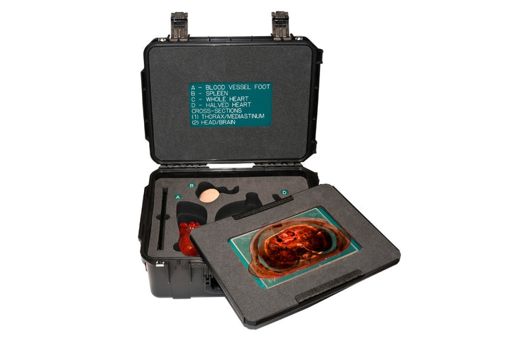 Cardiovascular Anatomy Kit Storage Case